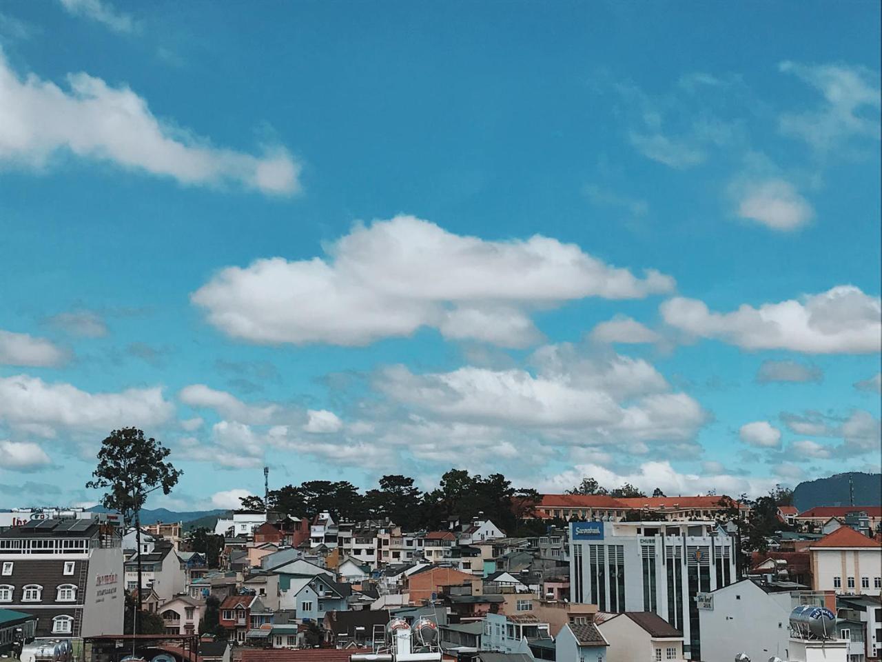 The Local House Da Lat 2 호스텔 외부 사진
